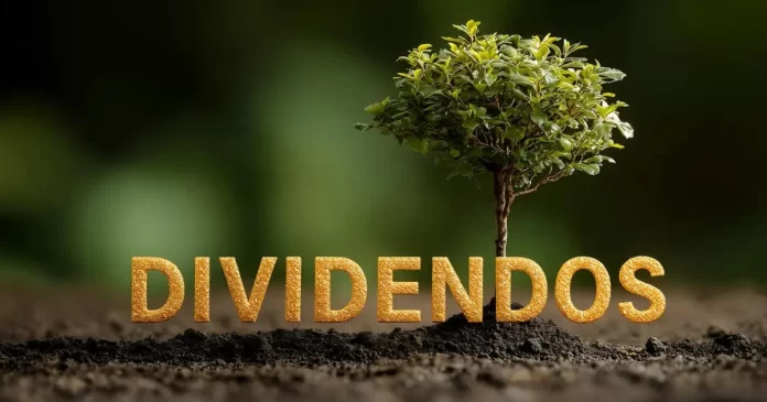 Árvore em crescimento simbolizando dividendos e remuneração de acionistas na B3